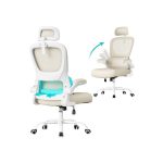 Ergonomska kancelarijska stolica