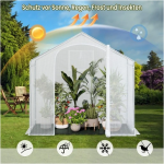 Staklenik 0,8m x 2m x 2m - Image 4