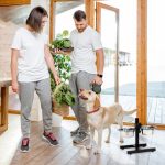 Set posuda za hranjenje od nehrđajućeg čelika, 42x46x27cm - Image 2