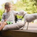 Set posuda za hranjenje od nehrđajućeg čelika, 42x46x27cm - Image 3