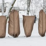 Set od 3 flis navlake za zaštitu biljaka, 180 x 120 cm - Image 3