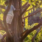 Kućica za ptice, smeđa, 24,5 x 14 x 14 cm - Image 3