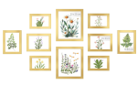 Set od 10 okvira za slike - Image 2