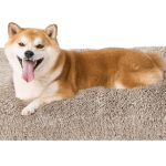 Mekani krevet za pse 80x60x20 cm